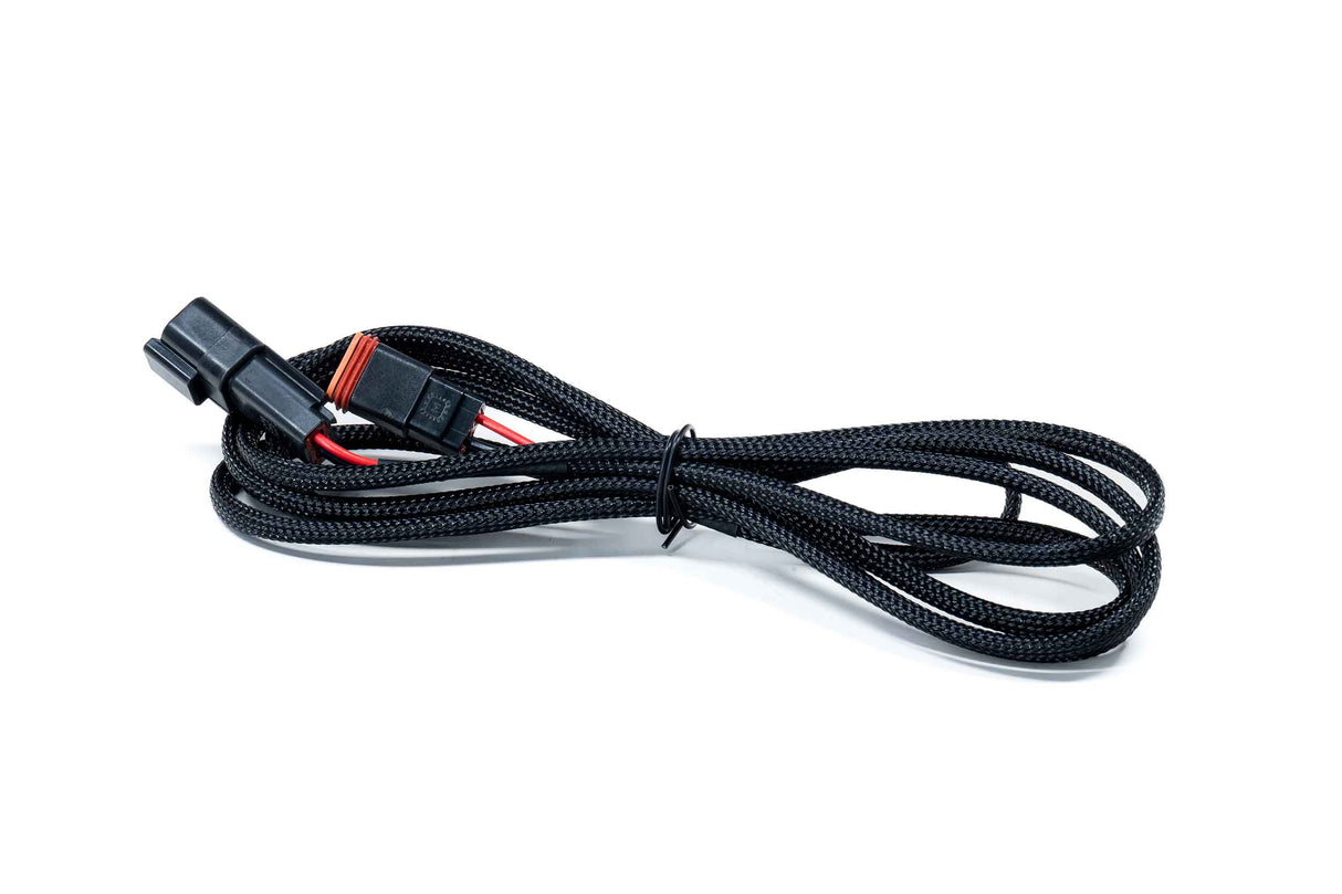 Morimoto 2P DT Extension Harness: (1/2/4Banger) (2M Long)