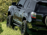 2010-2022 TOYOTA 4RUNNER STEP EDITION BOLT ON ROCK SLIDERS