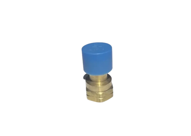 Brass Adaptor